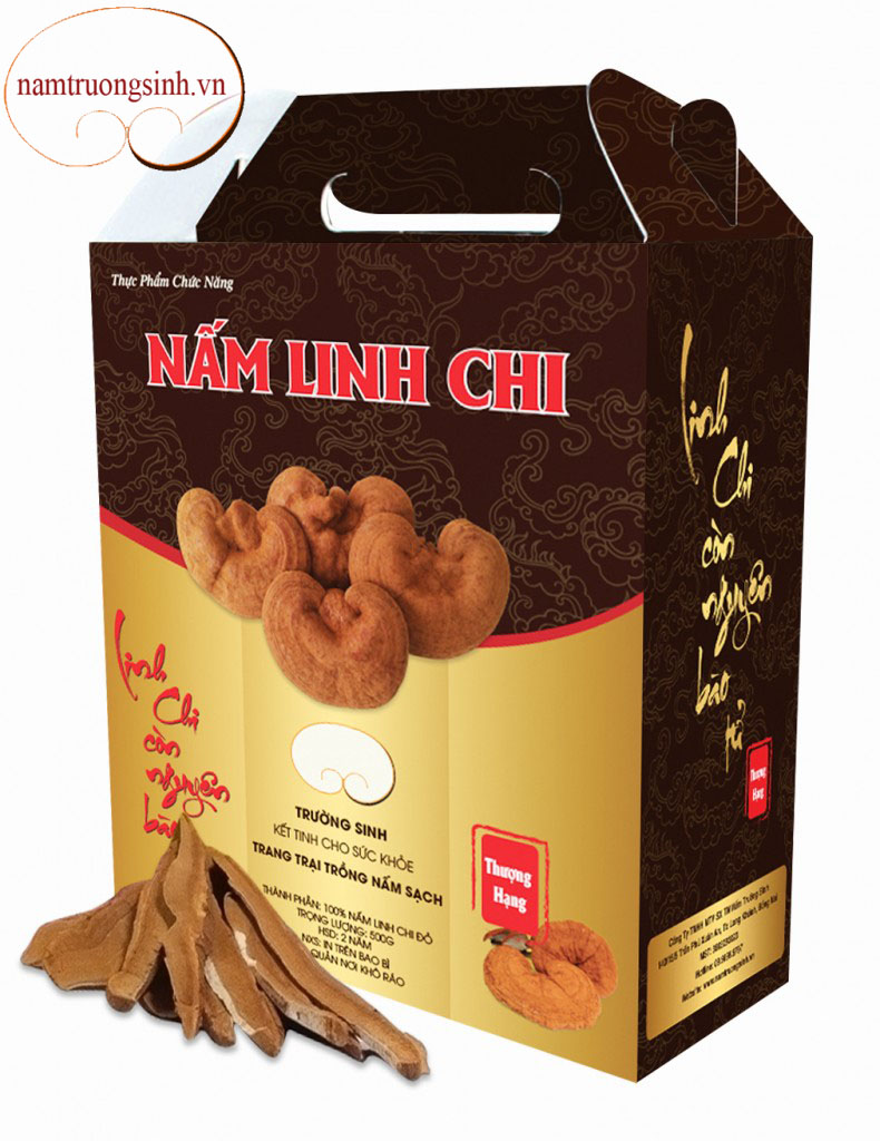 Cách sử dụng linh chi hiệu quả chắt lọc hết các tinh túy từ nấm mà bạn cần biết 